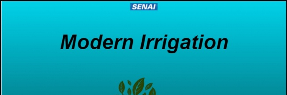 Imagem Ilustrativa
